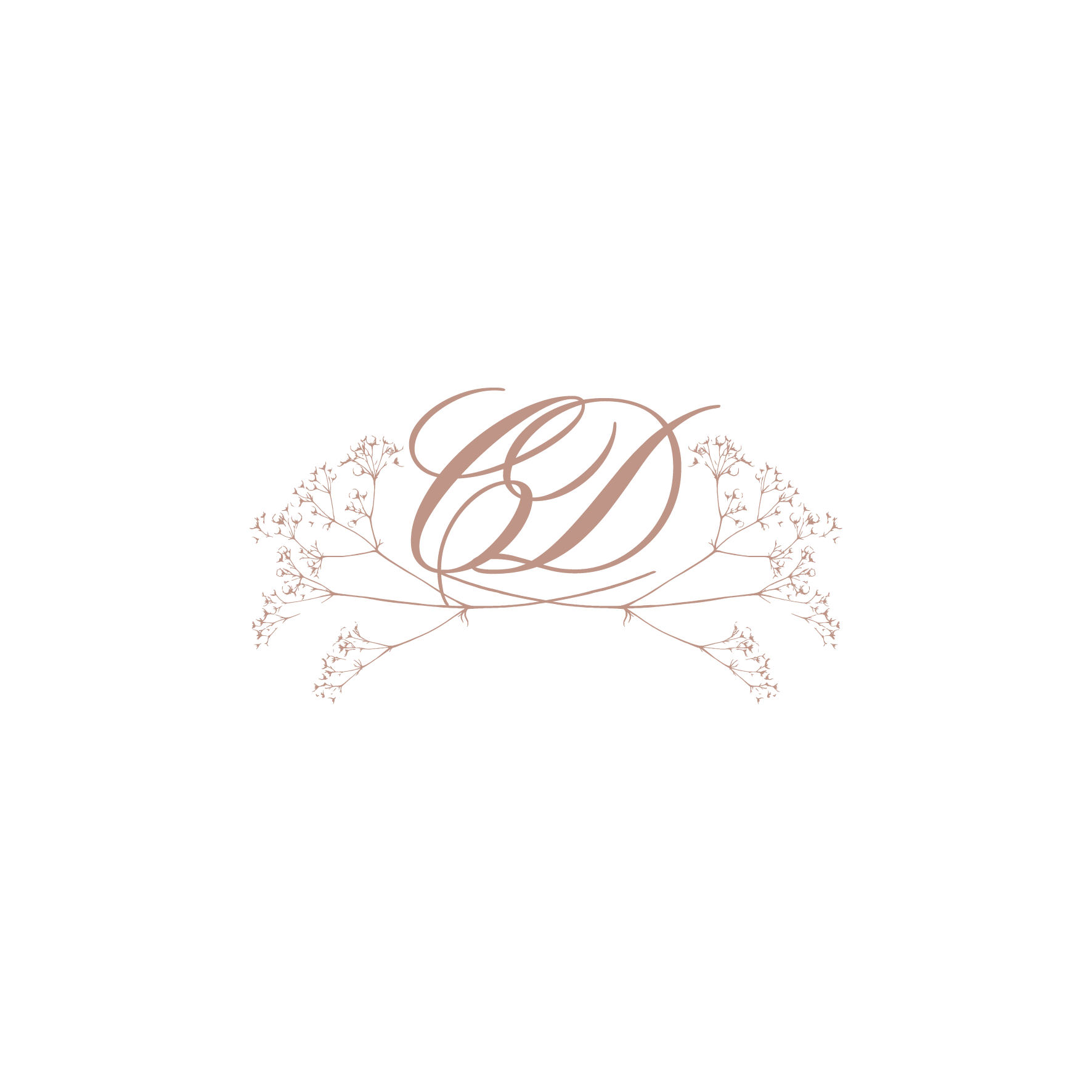 Carmen & David monogram
